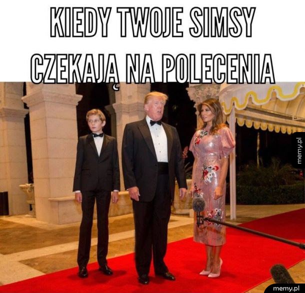 Simsy