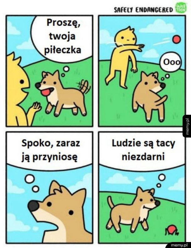 Co za niezdary