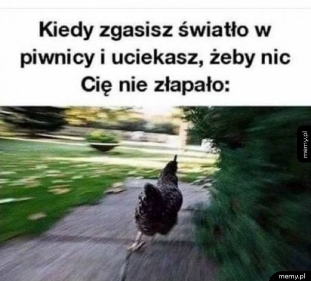 Panika
