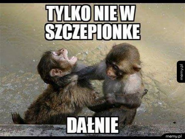 Gdzie w szczepionkę