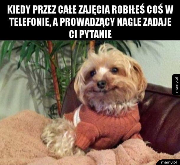 Mógłby pan powtórzyć?