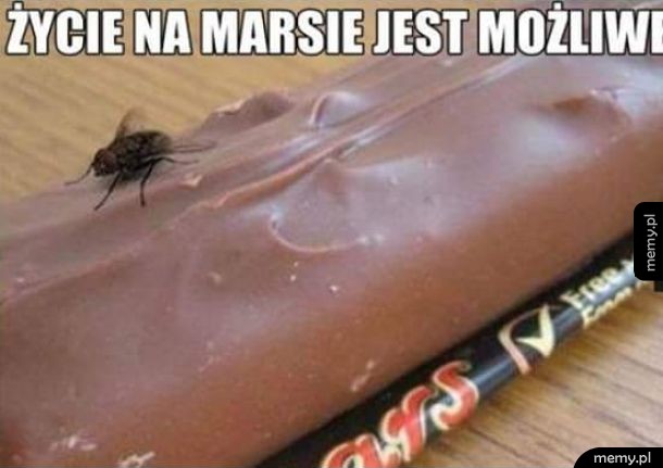 Życie na Marsie