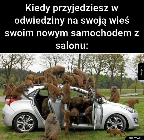 Kiedy przyjedziesz na swoją wieś