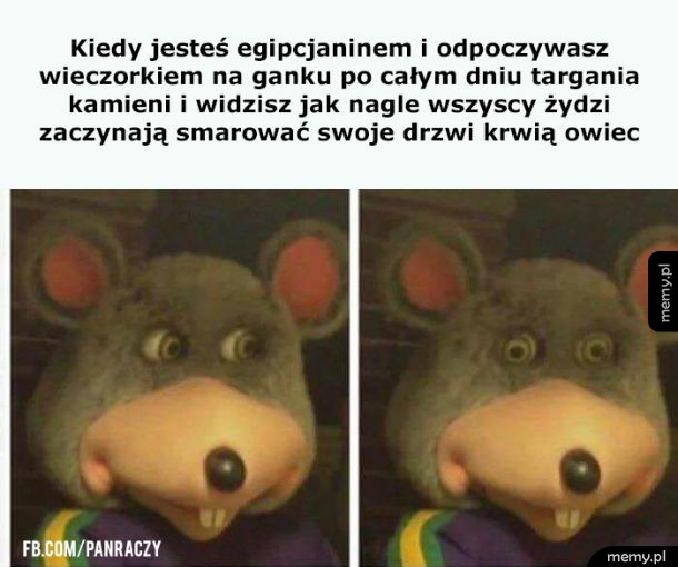 Egipcjanie