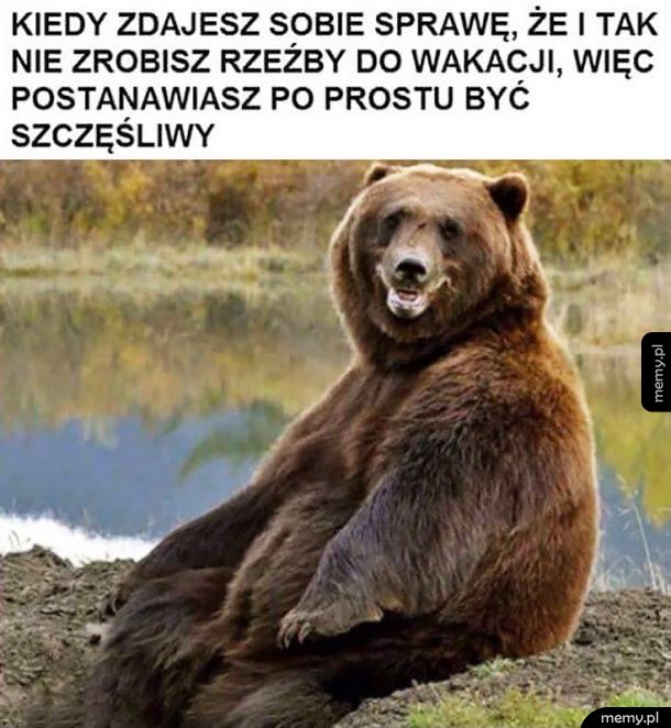 Tylko szczęście