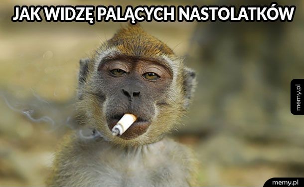 Jak widzę palących nastolatków