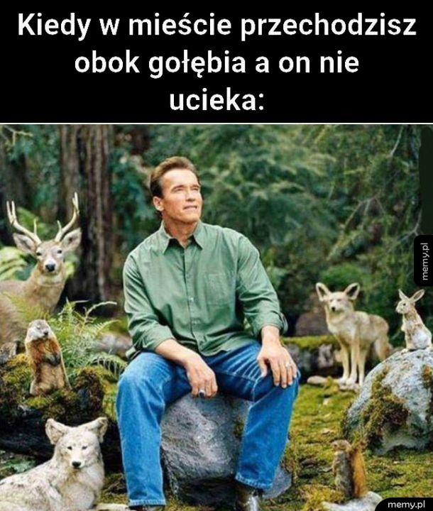 Przyroda jest niesamowita