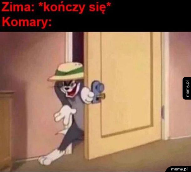 Zaczyna się