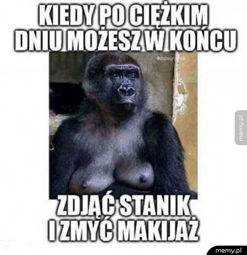 Tak to właśnie wygląda