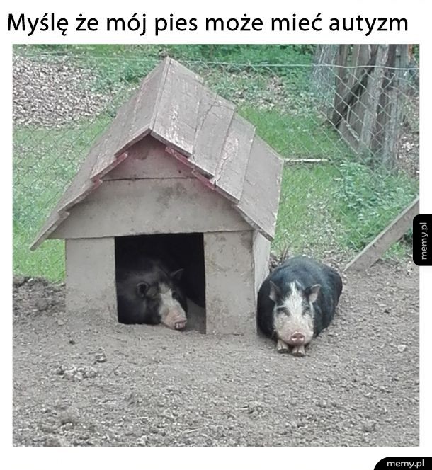 Autyzm