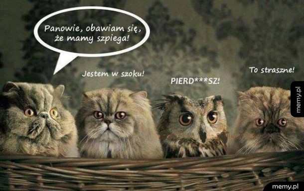 Szpieg w drużynie