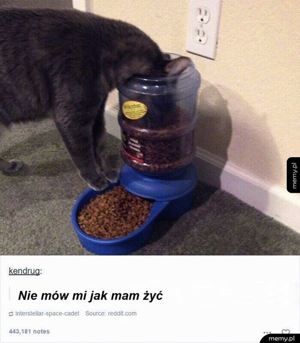 Zabawny komentarz