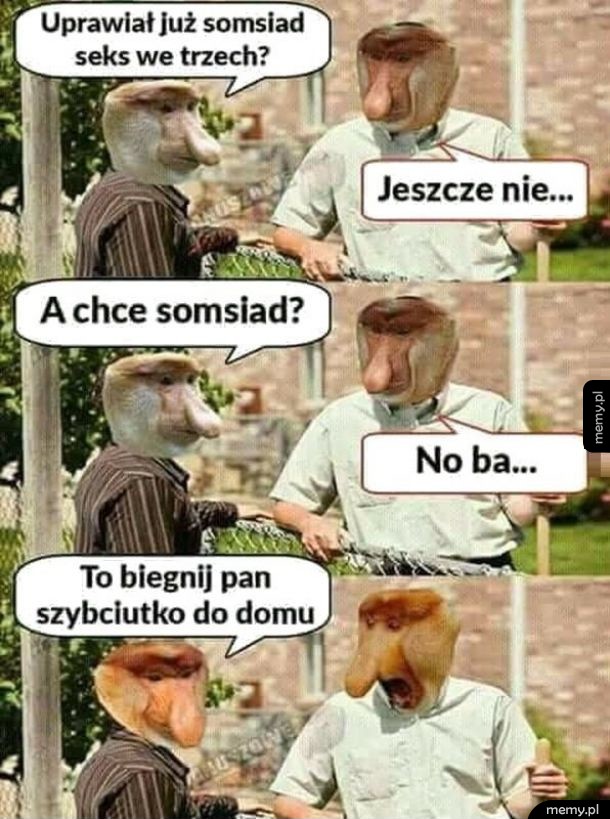 Uprawiał już somsiad?