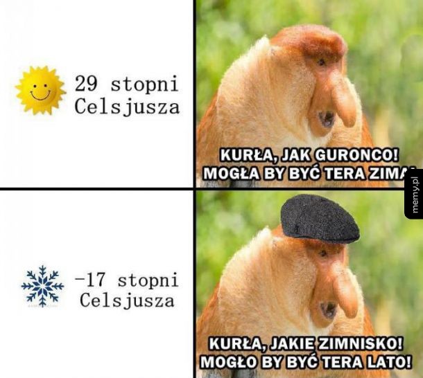 Polakowi nie dogodzisz