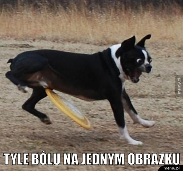 Ból i ból!