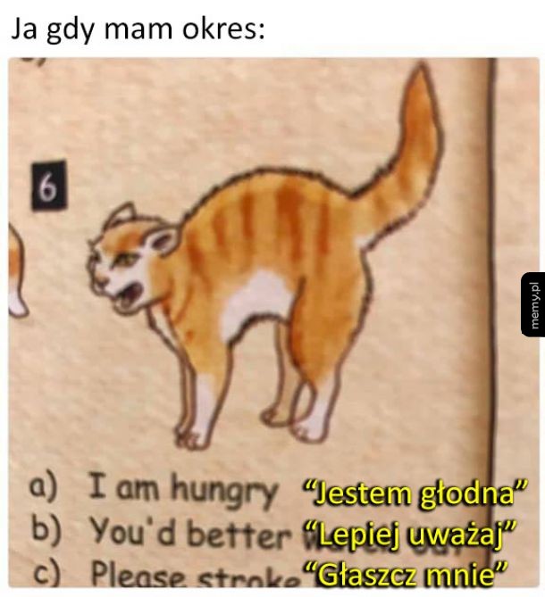 Mowa ciała