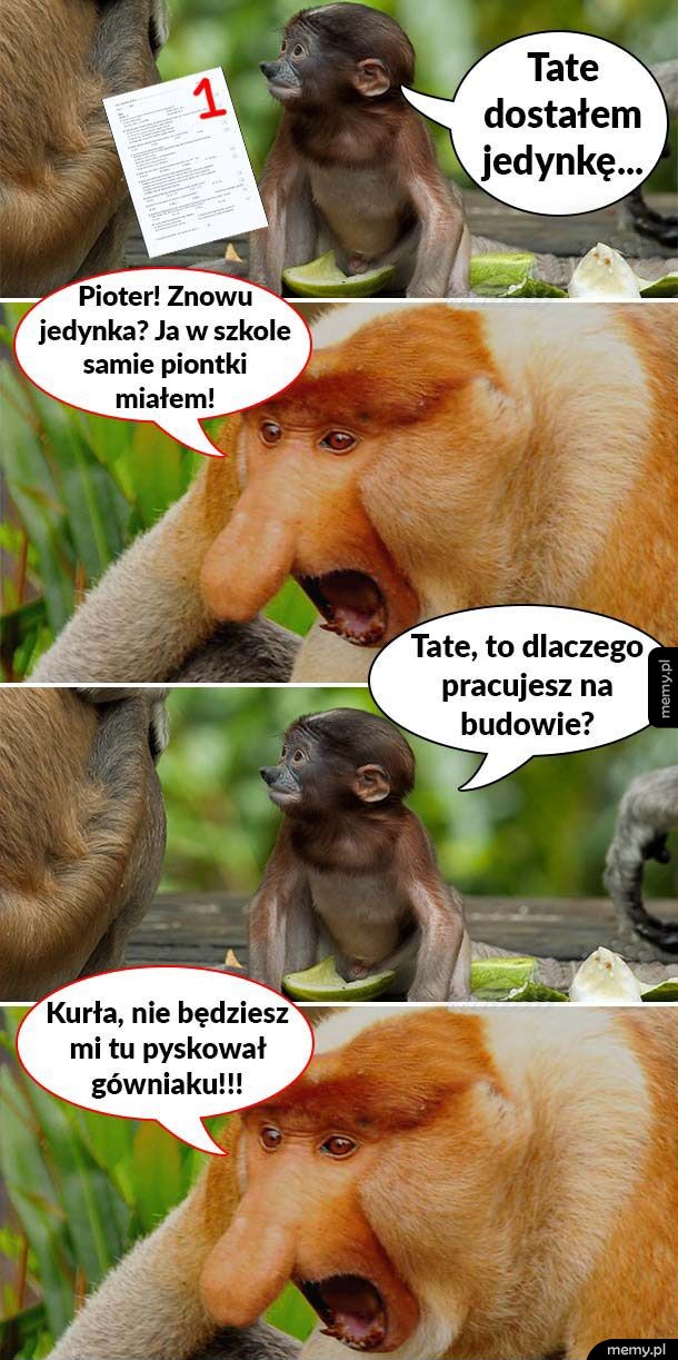 Kiedy Pioter dostanie jedynkę