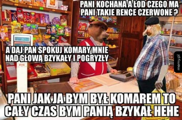 Janusz podrywu
