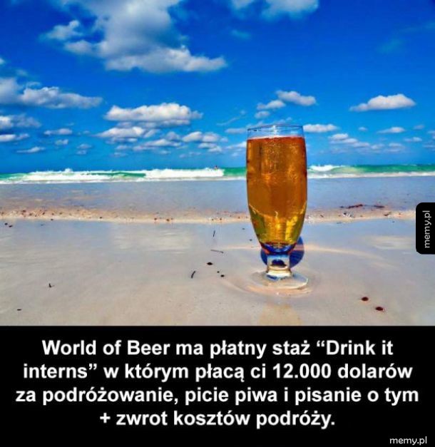 Spoko staż