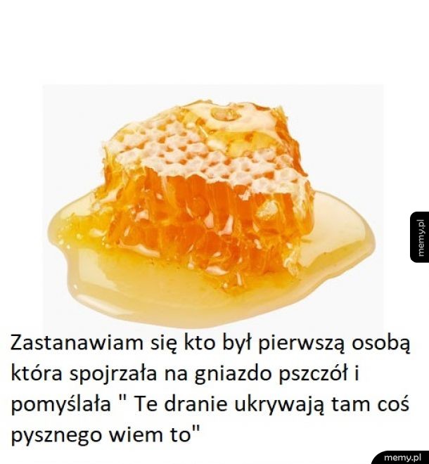 Prawdziwy Geniusz