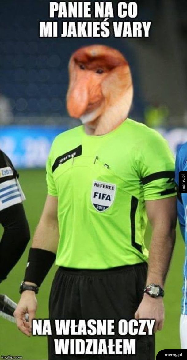 Sędzia