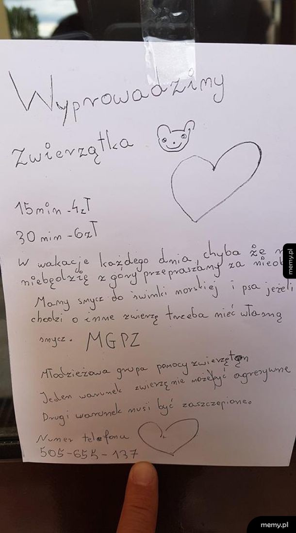 Wakacyjna praca