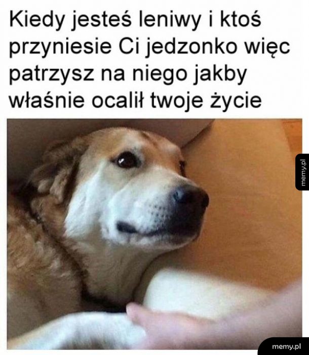 Mój bohaterze