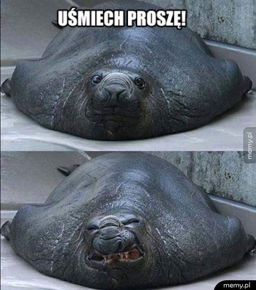 Uśmiech!