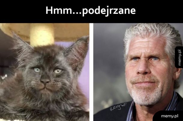 Coś tu nie tak
