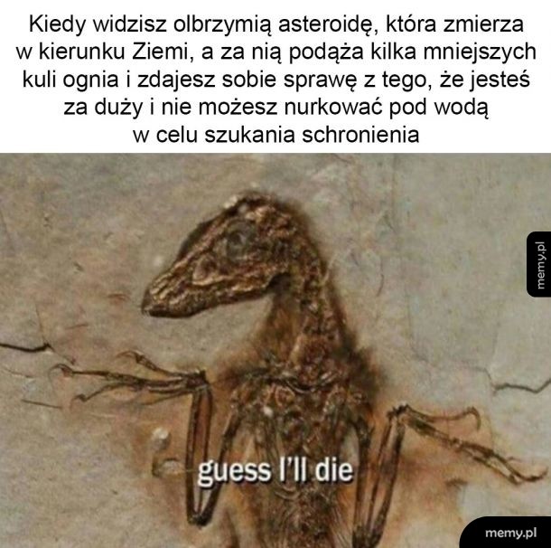 No cóż mogę zrobić