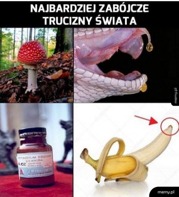 Strzeż się bracie