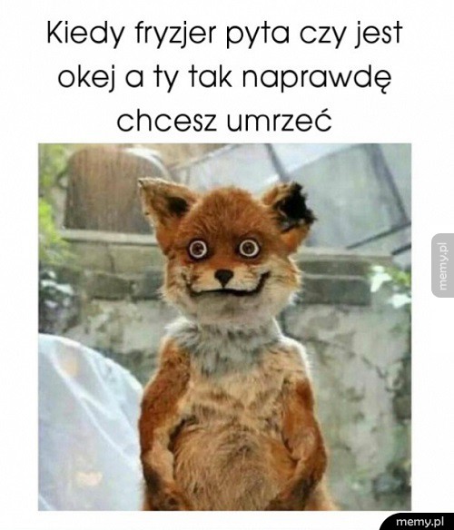 U fryzjera