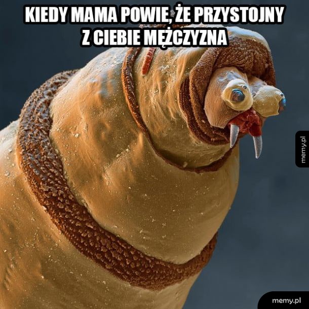 Dziękuję Ci mamo