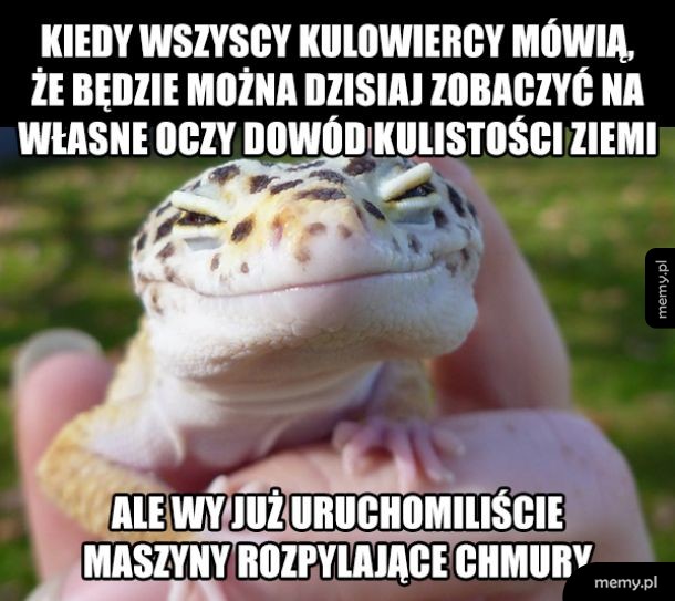 Zaćmienie odwołane