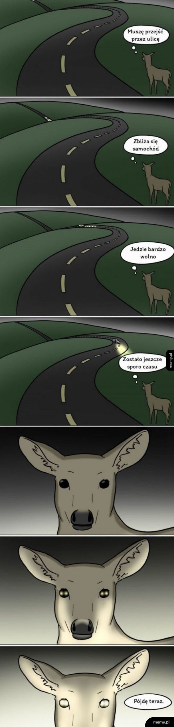 Sarny takie są