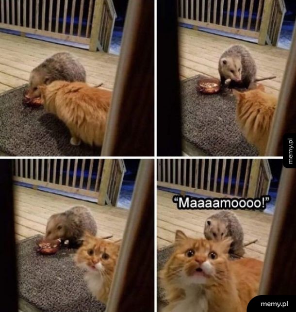 Mamo ratuj!