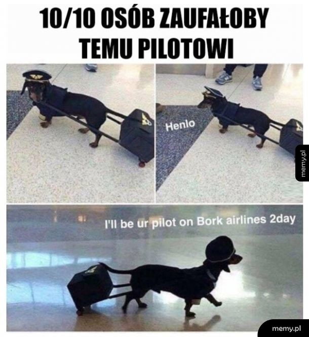 Pilot