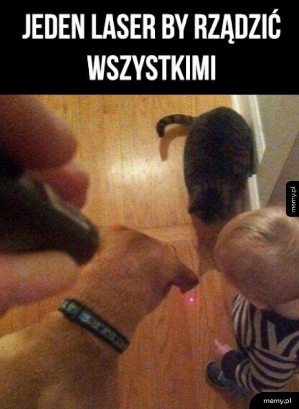 Władca