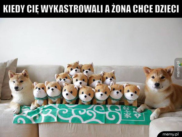 Pieseły