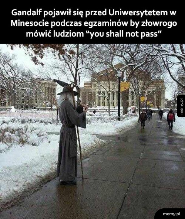Co za śmieszek