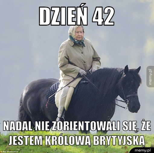 Dzień 42