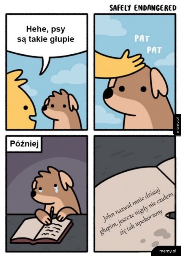 Życie pieska
