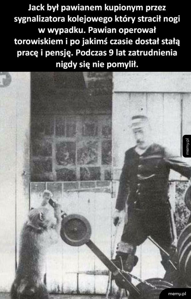 Świetna historia