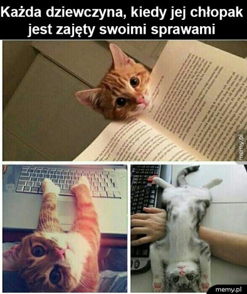 Dziewczyny
