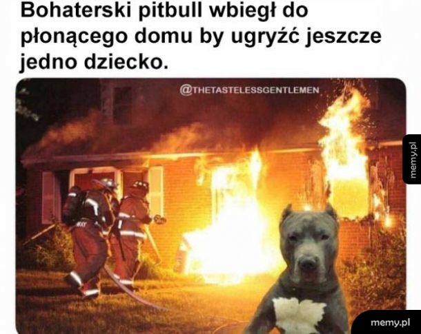 Bohaterski pieseł