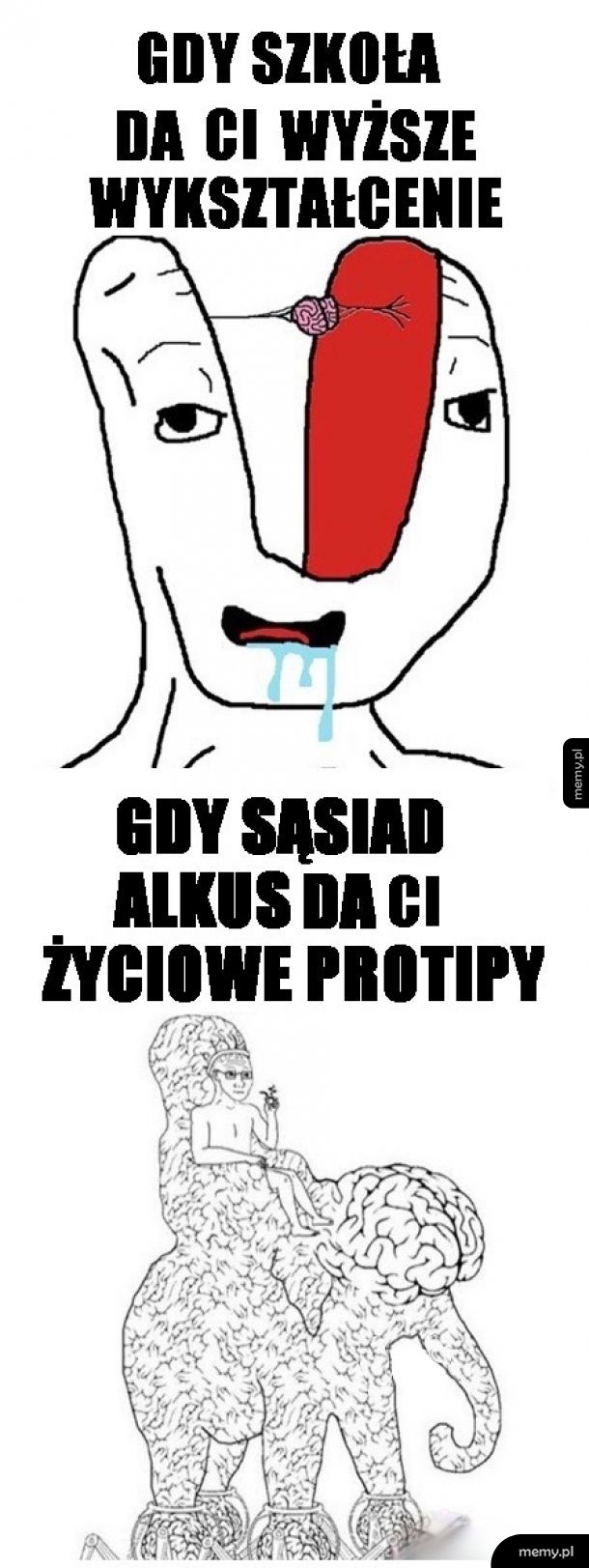 Wiedza i mądrość
