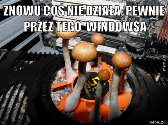 Wszystko ten windows