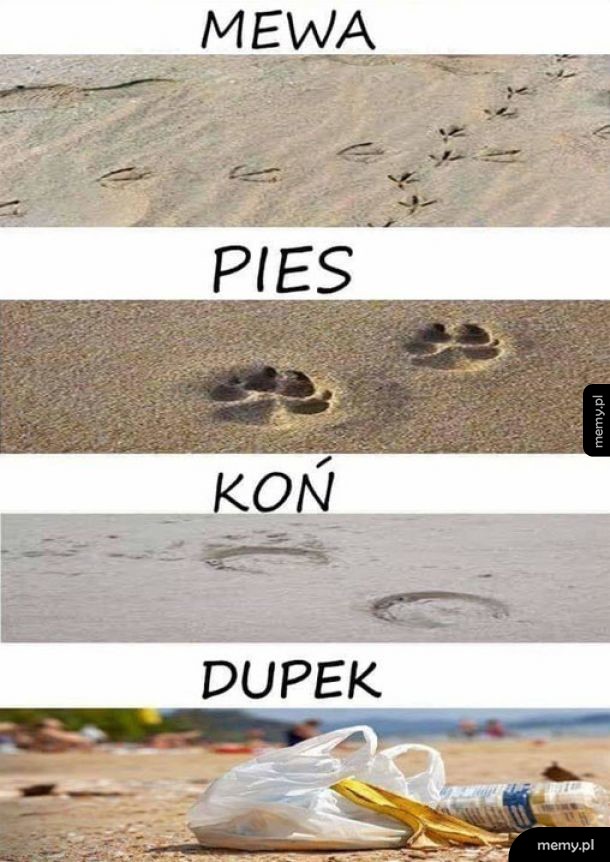 Jest taka odmiana człowieka!