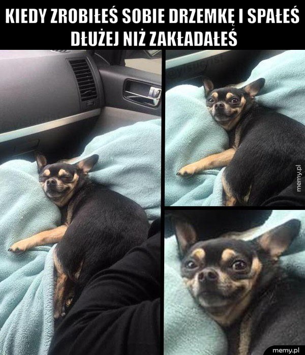 Drzemka