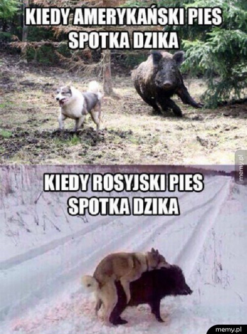 USA vs Rosja